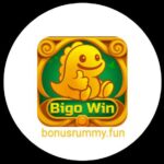 bigo win
